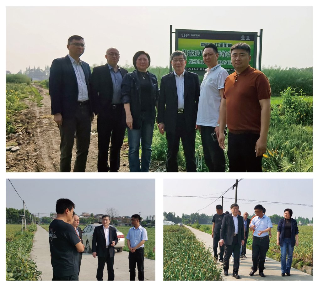 首页- 尊龙集团中国官网入口