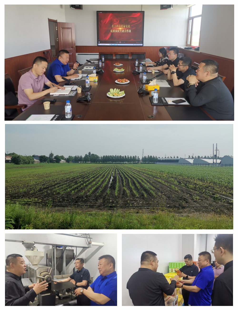 首页- 尊龙集团中国官网入口