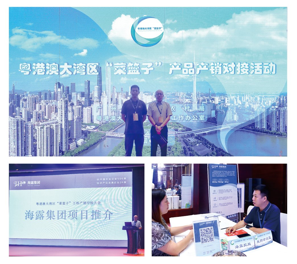 首页- 尊龙集团中国官网入口