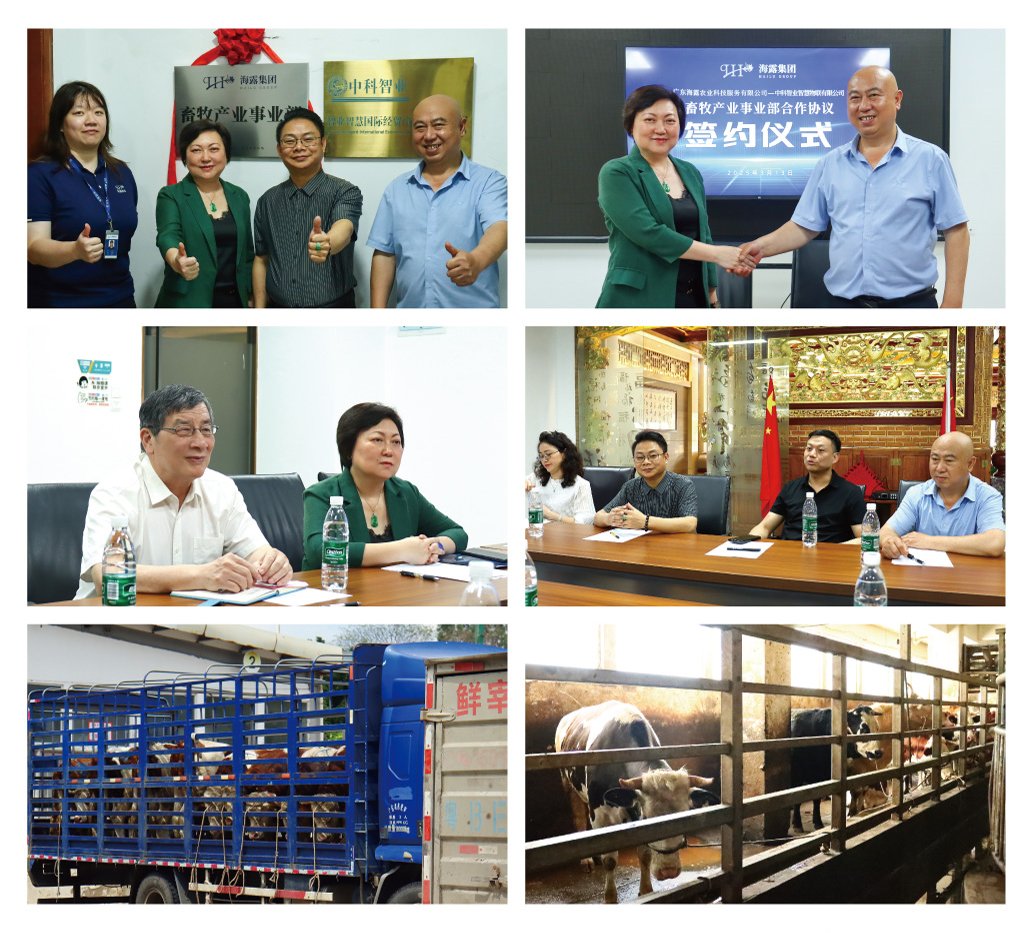 首页- 尊龙集团中国官网入口