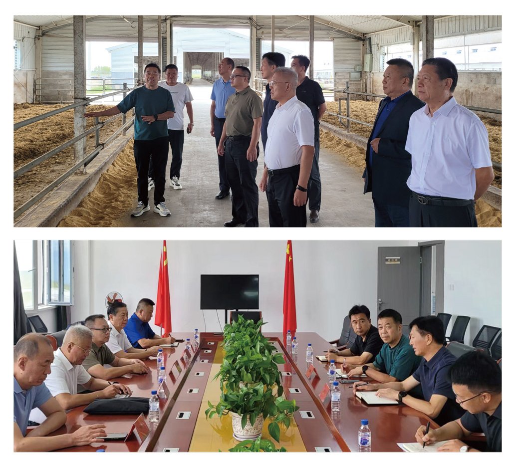 首页- 尊龙集团中国官网入口