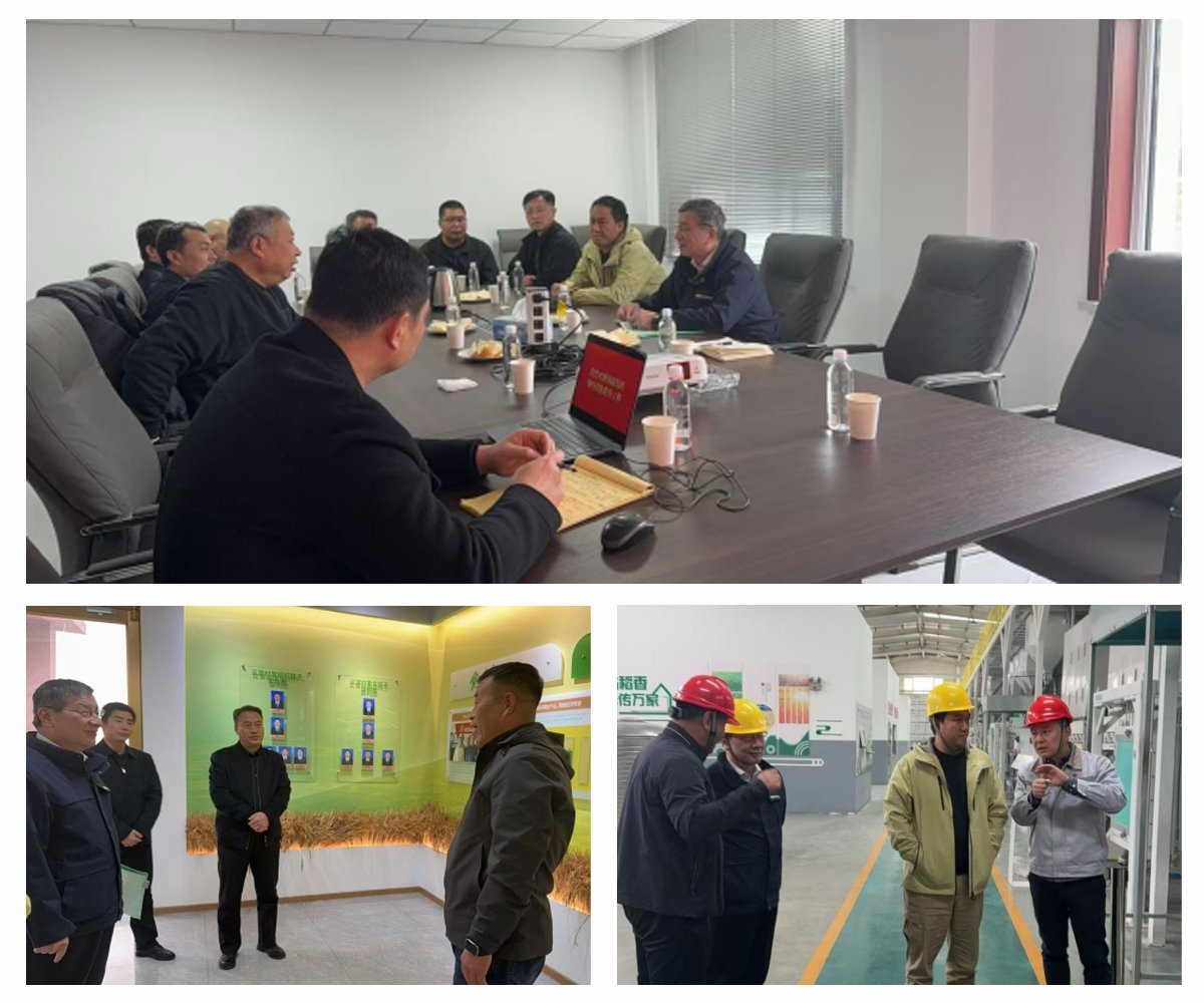 首页- 尊龙集团中国官网入口