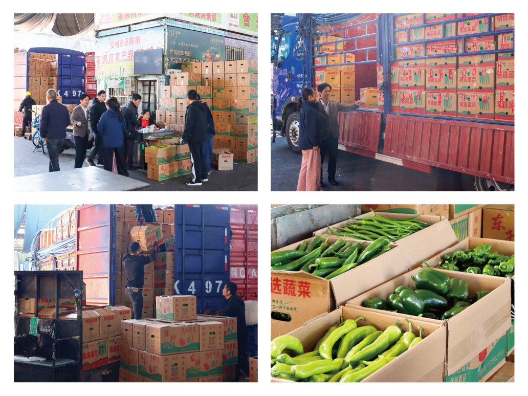 首页- 尊龙集团中国官网入口